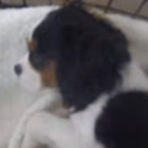 Meet your Posher, Evanthia